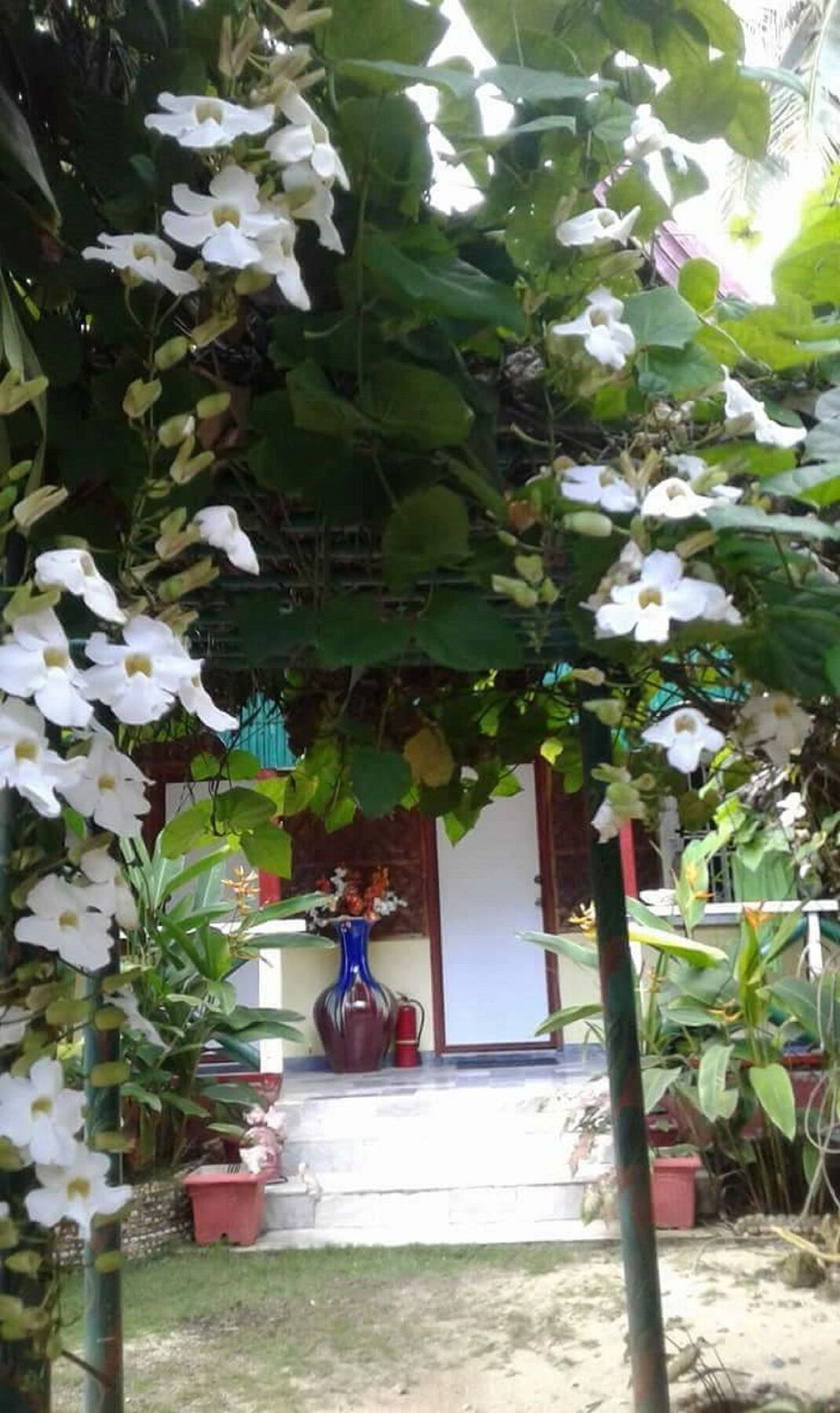 Traville Huts Palm Beach Inn Панглао Екстериор снимка