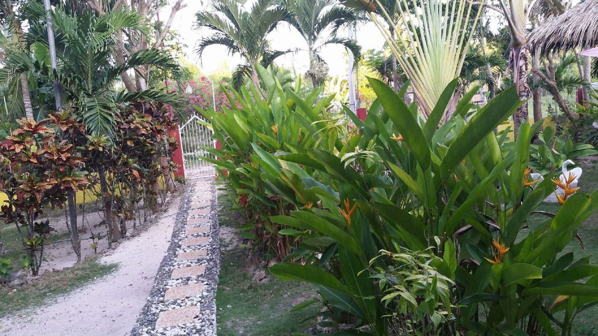 Traville Huts Palm Beach Inn Панглао Екстериор снимка