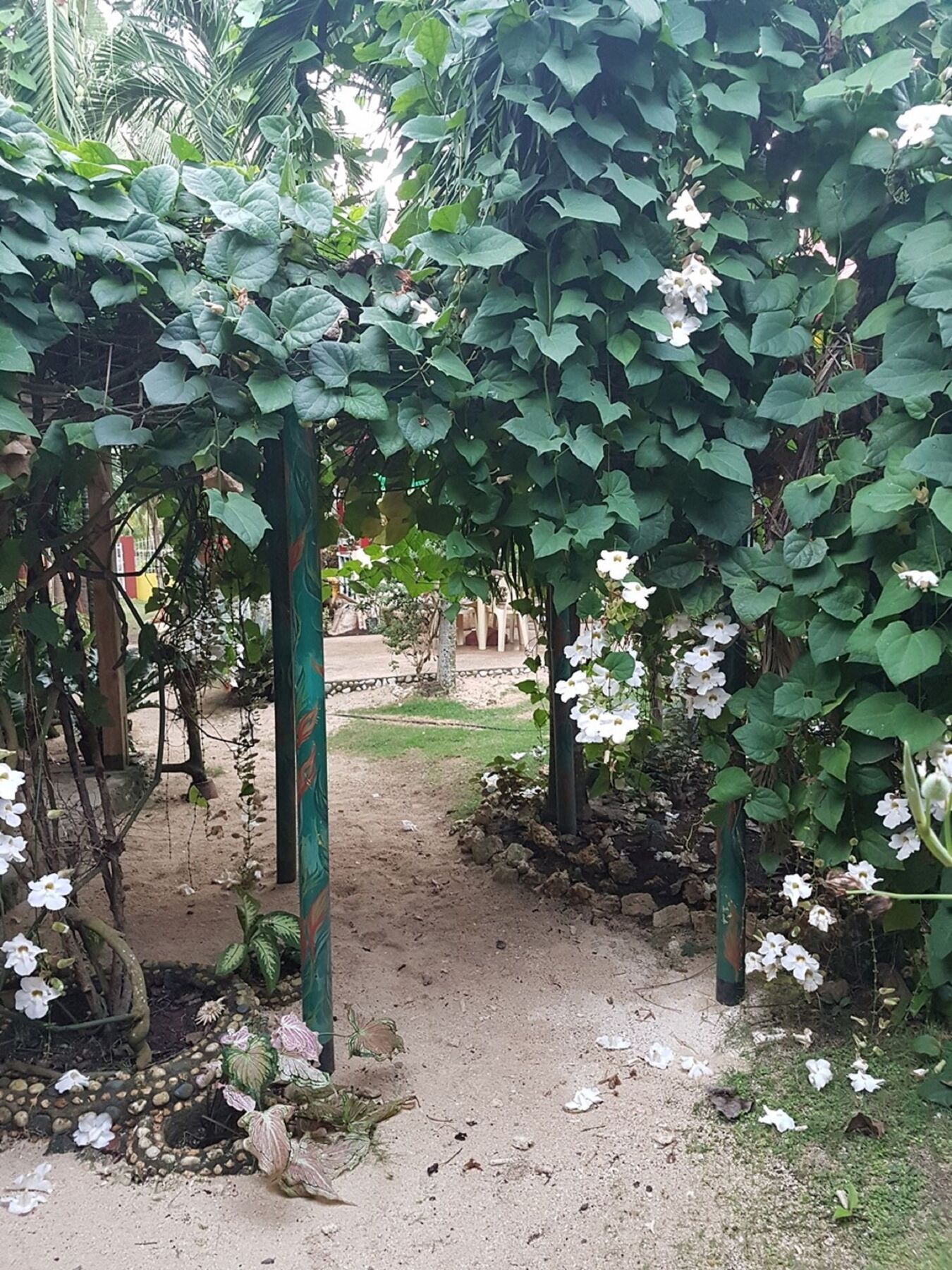 Traville Huts Palm Beach Inn Панглао Екстериор снимка